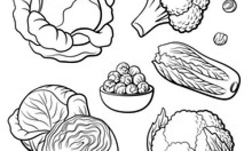 怀孕可以吃内酯吗？怀孕吃什么比较好