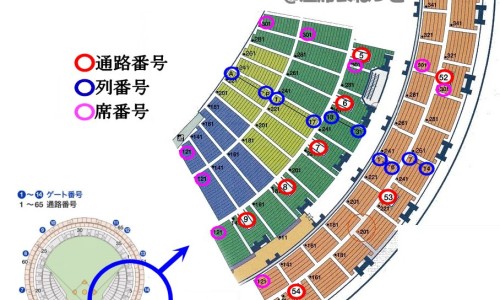 碧韵是什么意思-碧韵有副作用吗网 | 朝晖一区二手房,人体结构几何体速写